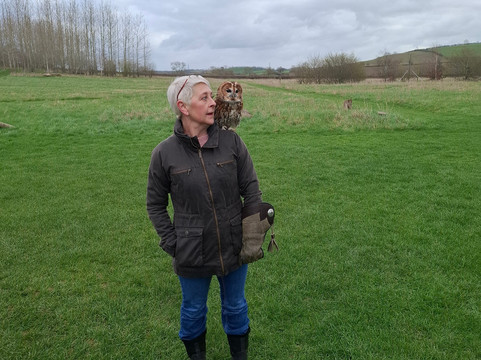 Bird on the Hand Falconry Experiences-Church Langton必去景点