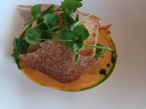 国际之家斯特伦酒店主图