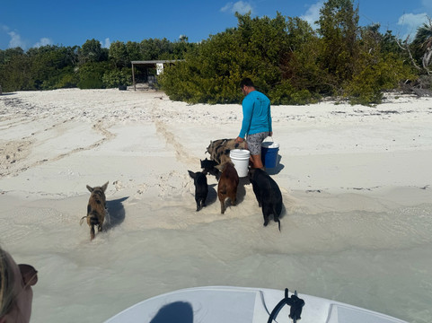Long Island Boat Rentals-长岛必去景点