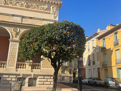 加布里埃尔酒店 - 新品2025主图