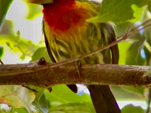 Jason Lara Tours-波魁特必去景点