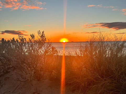 Port Beach-弗里曼特尔必去景点