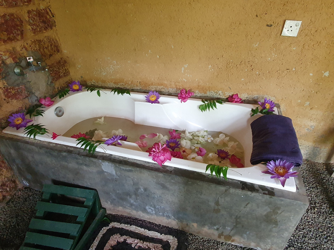 Hela Gedara Retreat Beruwala主图