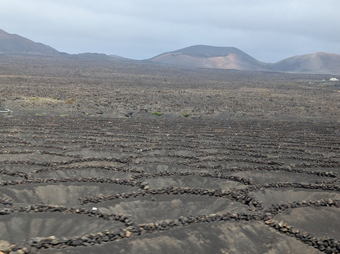 Bodega La Geria-La Geria必去景点