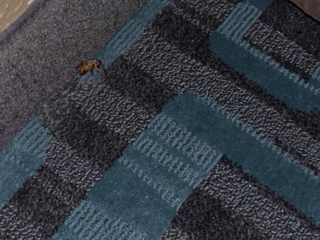 塔彭斯普林斯南凯艺套房酒店主图