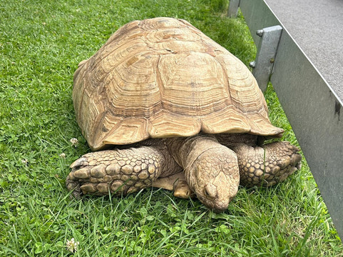 Hesketh Farm Park-斯基普顿必去景点
