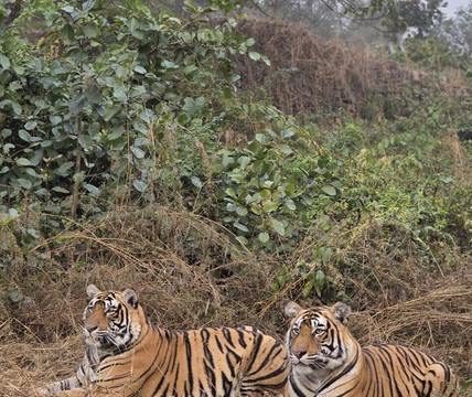 My Rajasthan Trip-斋蒲尔必去景点
