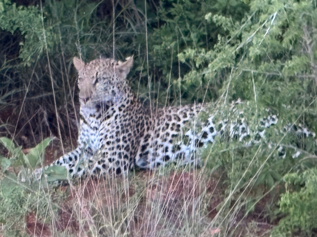 Safari In Kenya Con Samba-瓦塔木必去景点