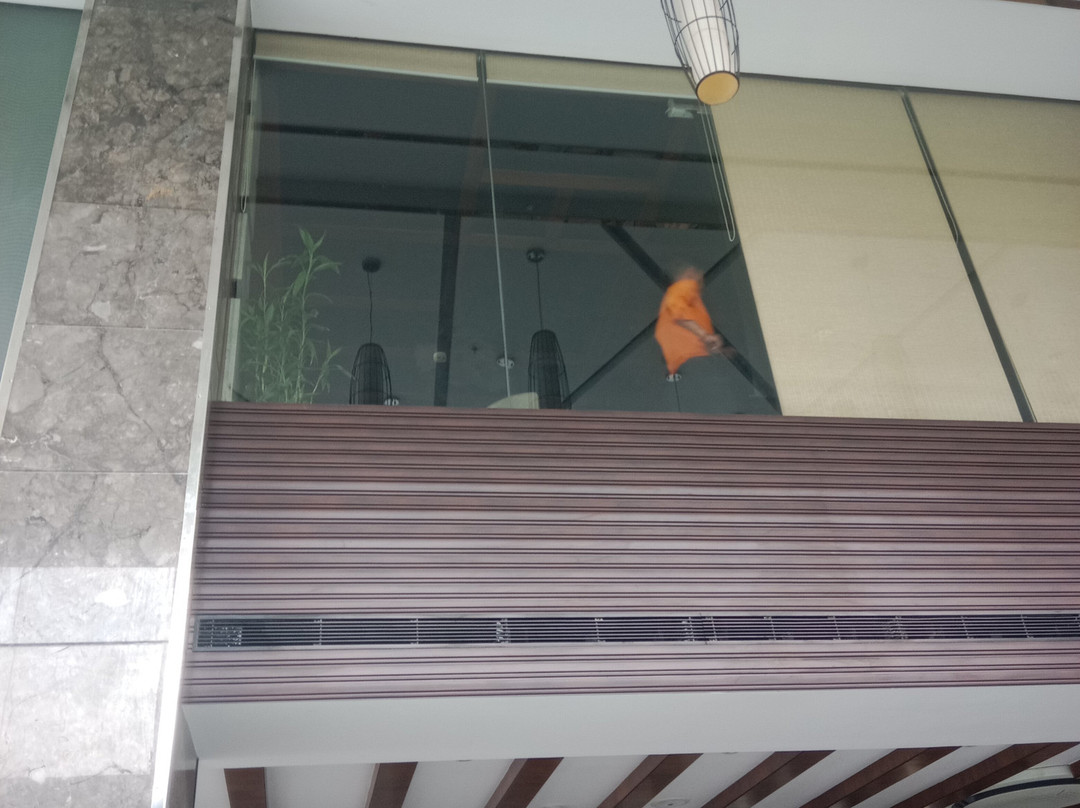 藏红花冠酒店主图