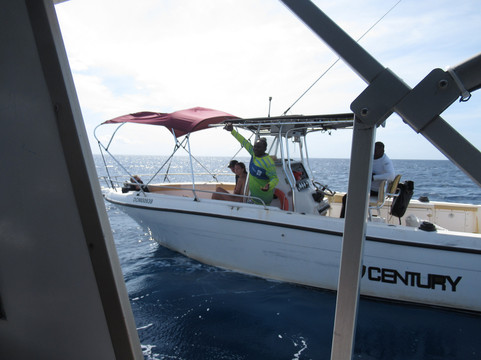 Champagne Beach-罗索必去景点