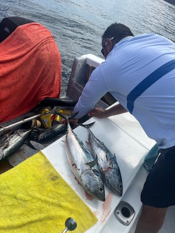 MiraMar Yelapa主图