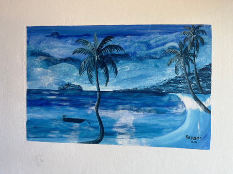 Island Turf Tours-内格里尔必去景点