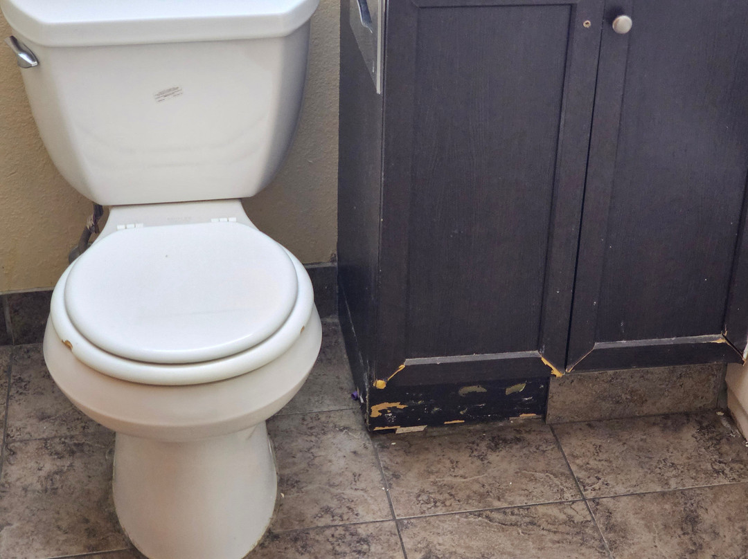 皮姆利科赛马场附近凯艺酒店主图