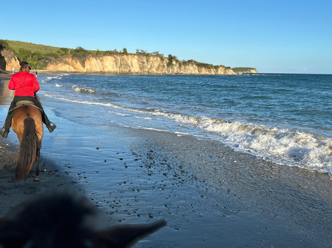 Esperanza Riding Company-维切克岛必去景点