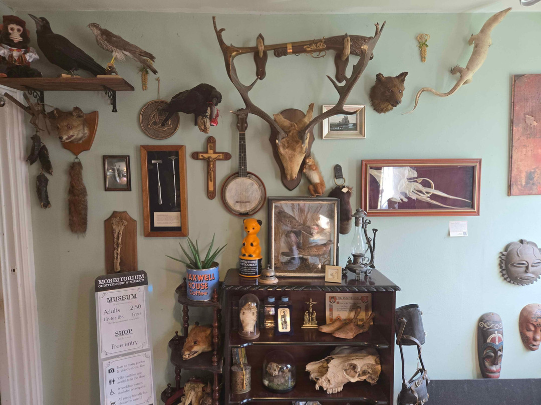 Morbitorium-卡菲利必去景点