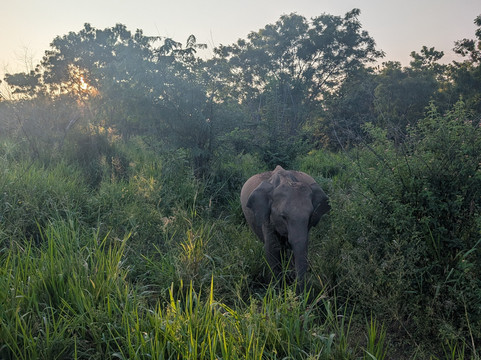 Ama  Lanka Tours-Minuwangoda必去景点