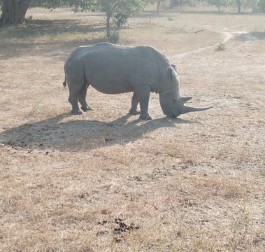Fathala Wildlife Reserve-Dassilame Ba必去景点