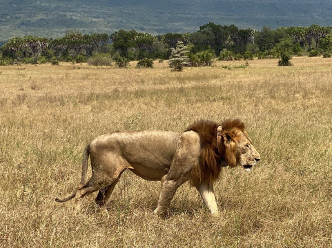 Alfamale Tours & Safaris-Mloka必去景点