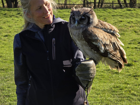 UK Owl And Raptor Centre-Groombridge必去景点