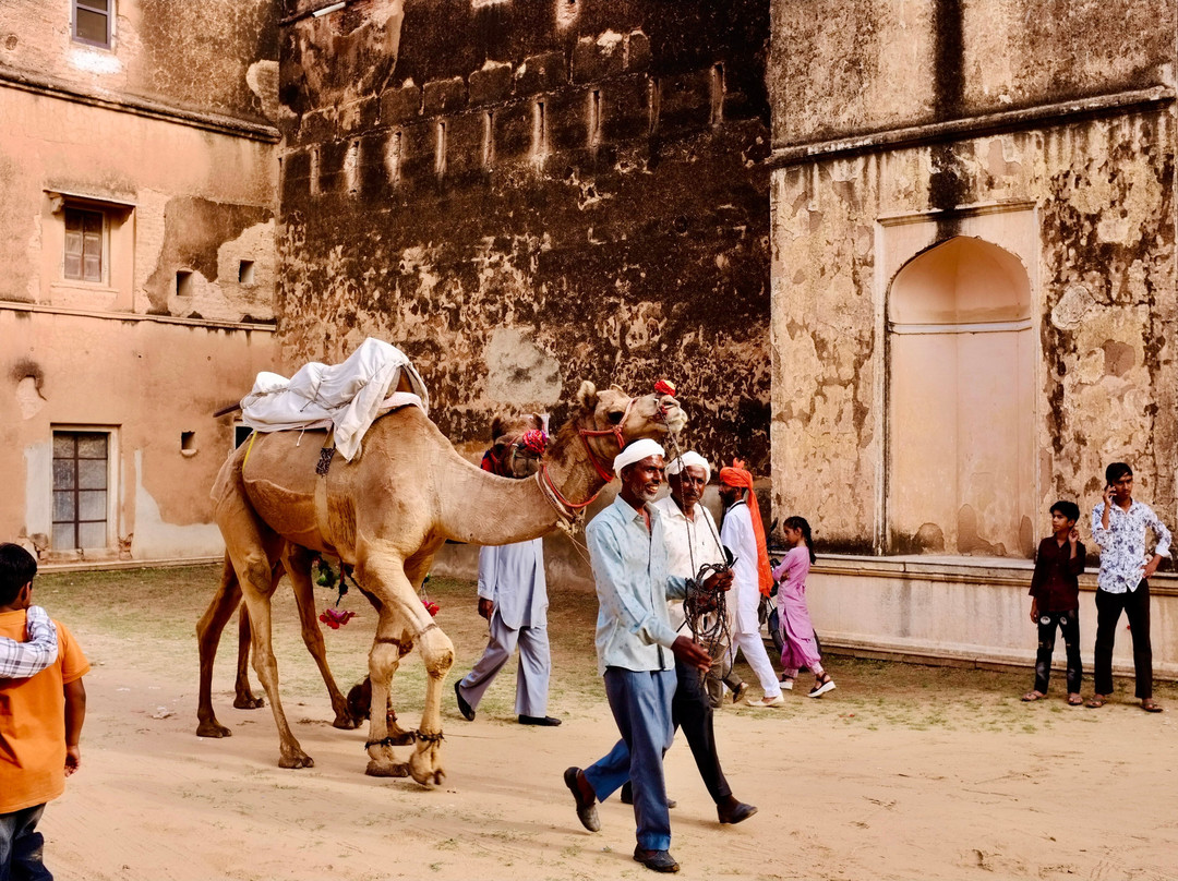 A Baisa’s Adventures-Shekhawati必去景点