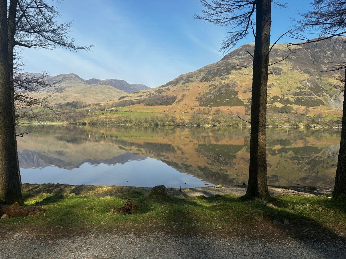 布里奇酒店-官方