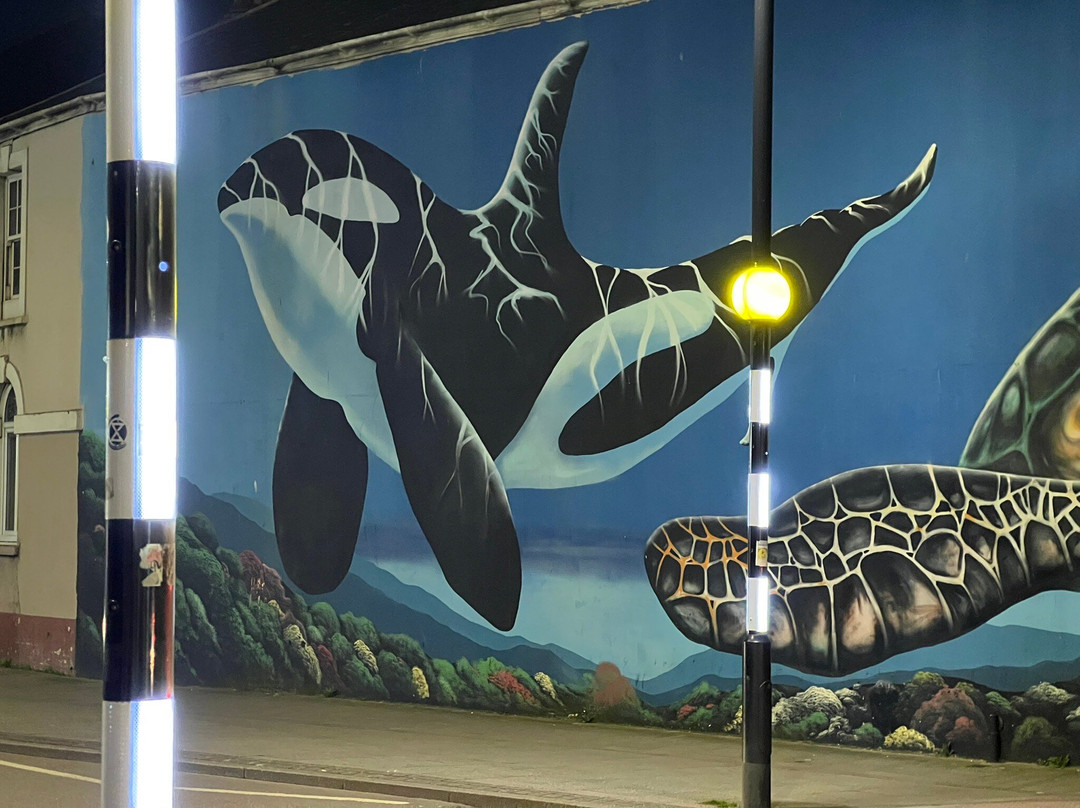 The Strange Catch主图