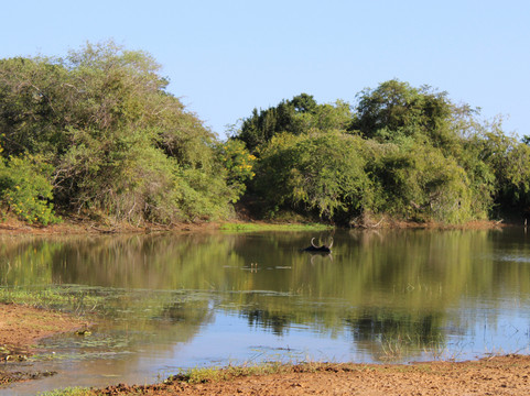 Journey Lanka-Bandaragama必去景点