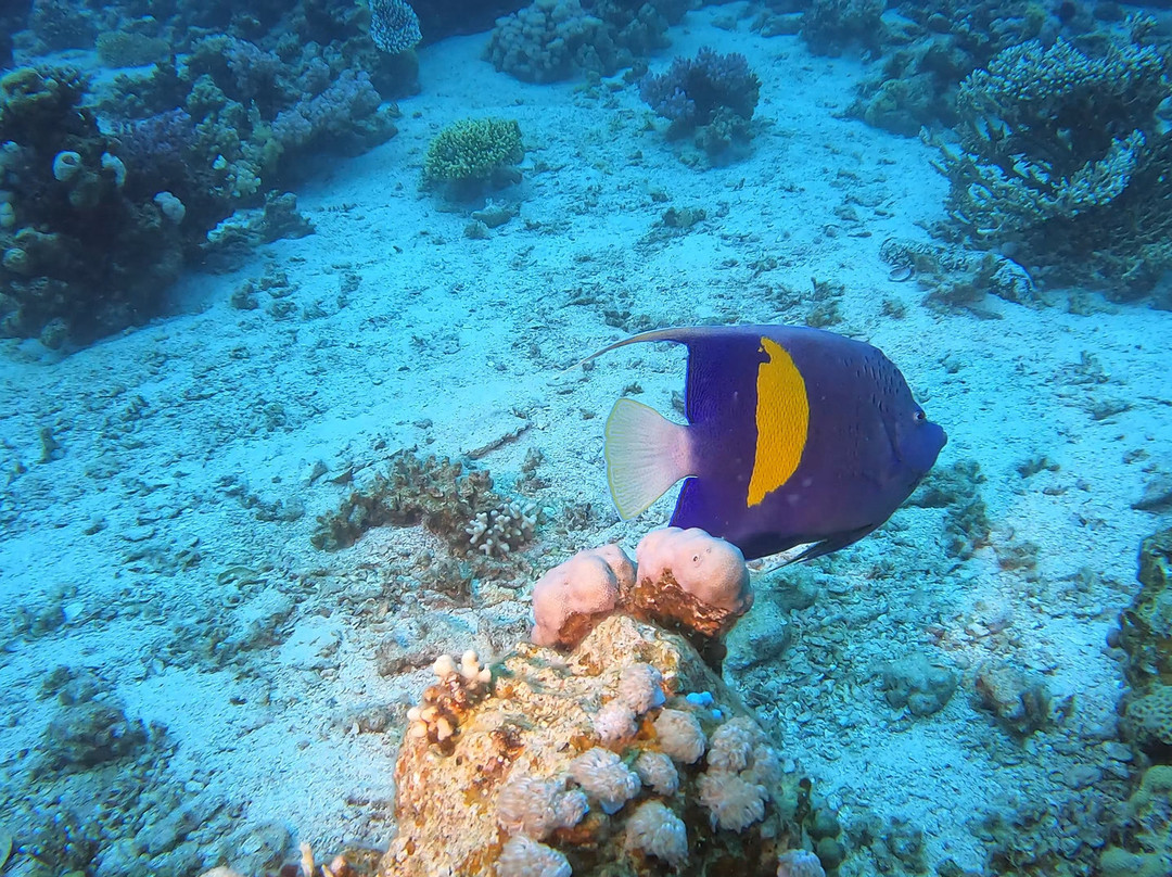 Extra Divers Dahab-达哈卜必去景点