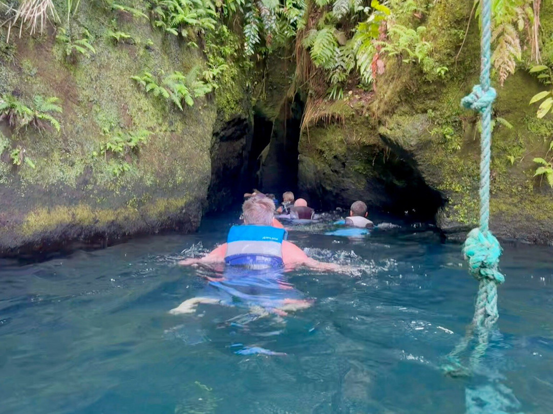 Nature Isle Explorer Day Tours-罗索必去景点