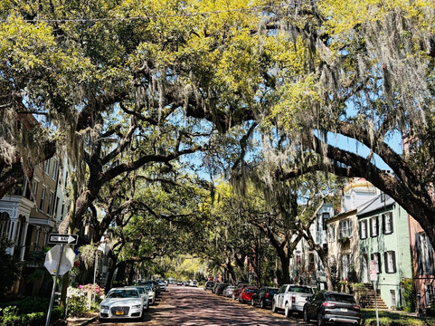 Flavors Food Tours - Savannah-萨凡纳必去景点