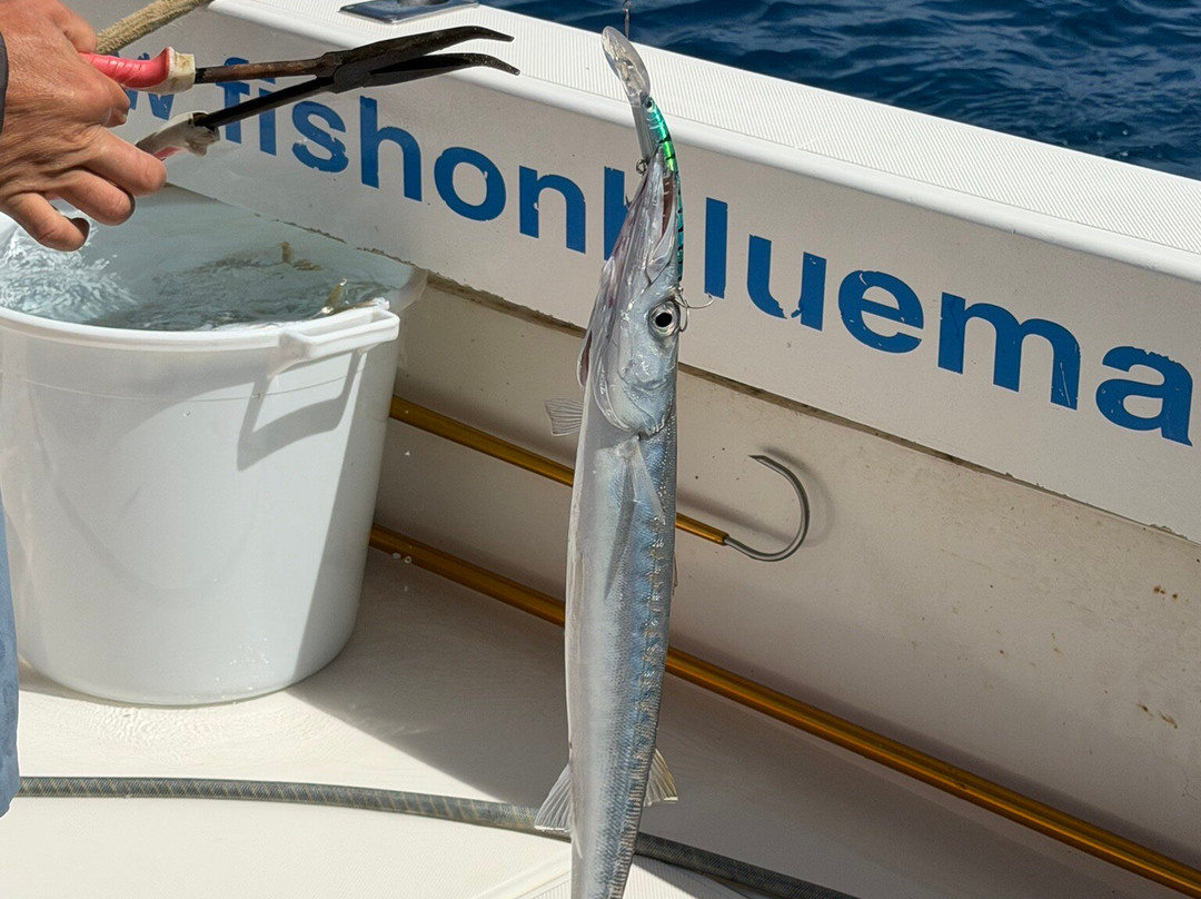 Fish On-San Bartolome de Tirajana必去景点