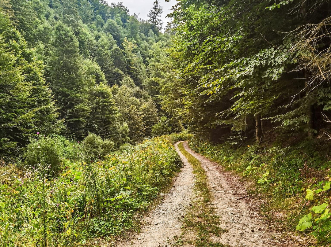 Via Transilvanica-Piatra Fantanele必去景点