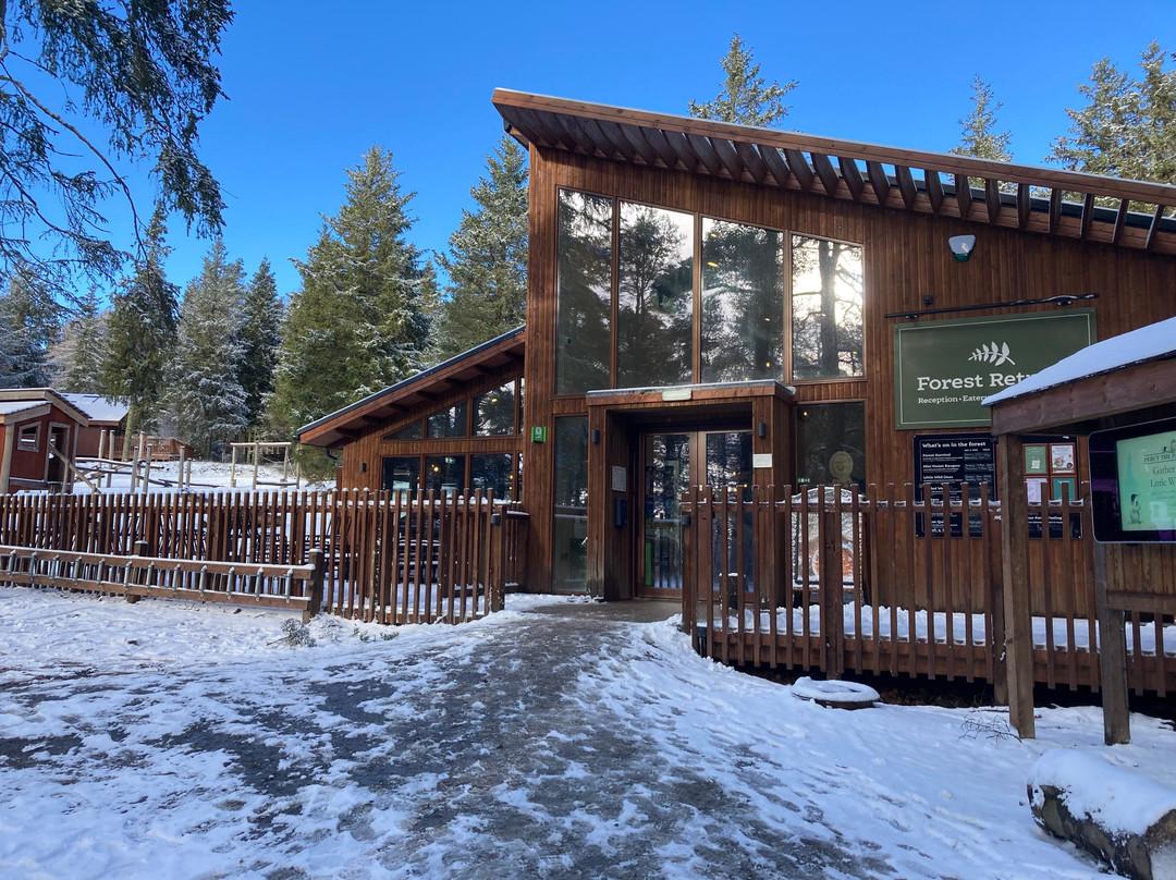 Glentress Forest-皮布尔斯必去景点