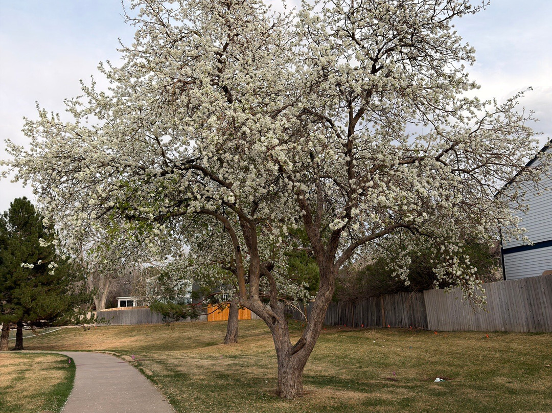 Tollgate Park-奥罗拉必去景点