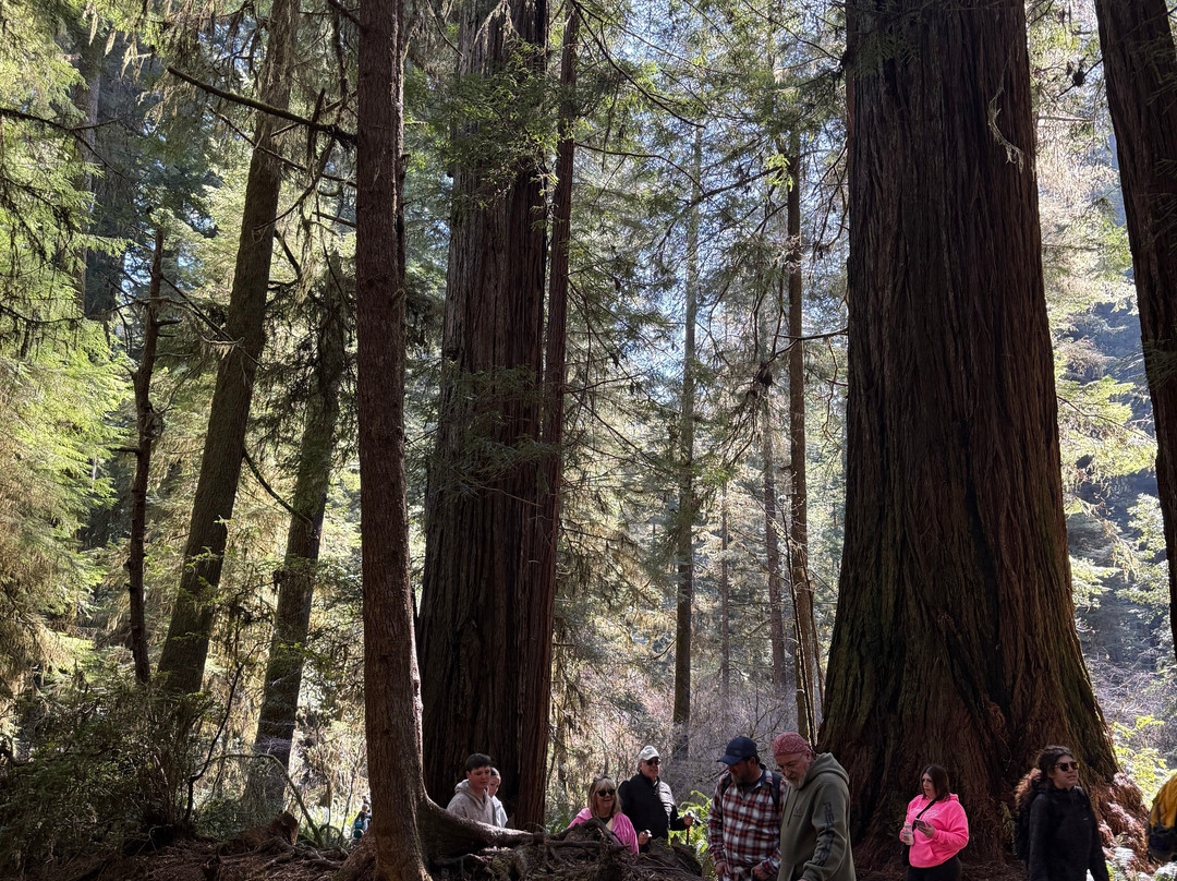Redwood Rides-Hiouchi必去景点