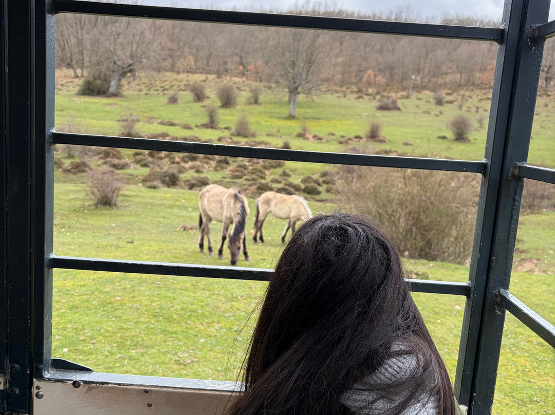 Paleolitico Vivo-布尔戈斯省必去景点