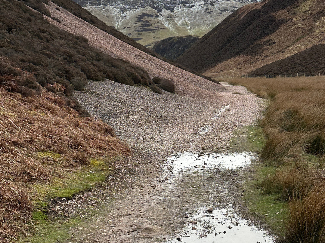 The Tartan Bicycle Company-爱丁堡必去景点