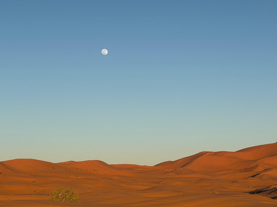 Merzouga Desert Tours-梅如卡必去景点