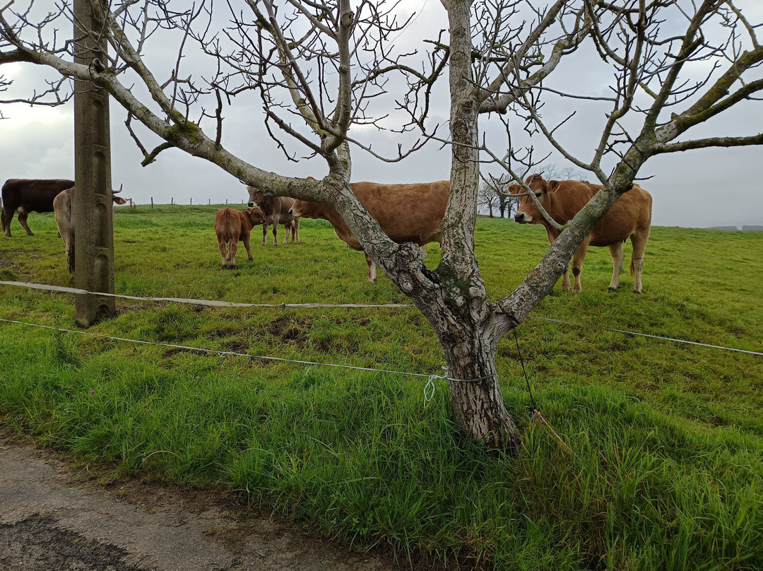 里瓦斯埃尔米拉多酒店主图