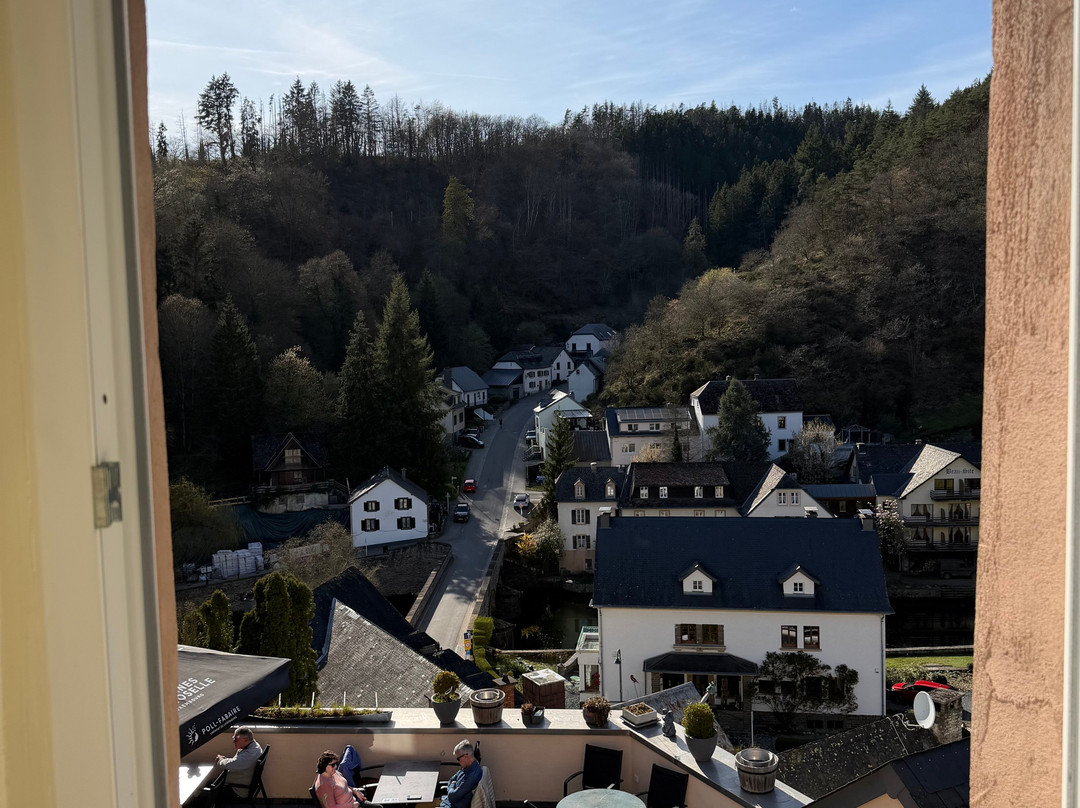 Logis Gourmet & Relax Wellness Hotel de La Sure主图