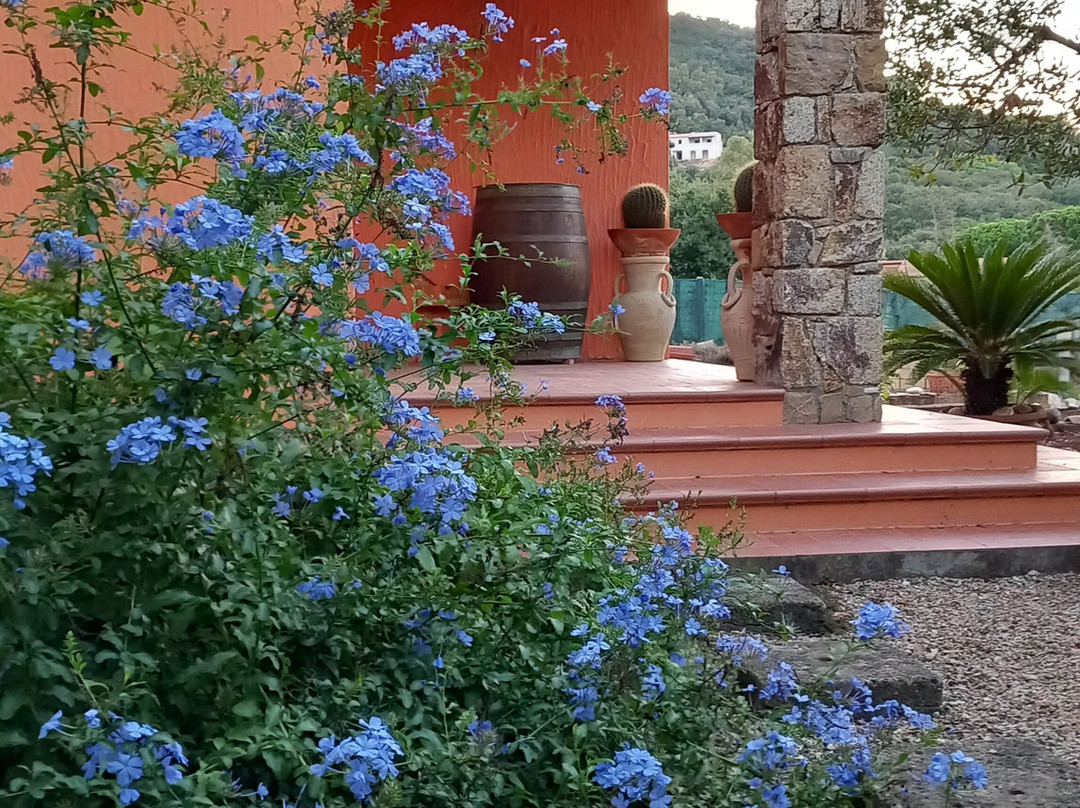 B&B Casa Zizzolo主图