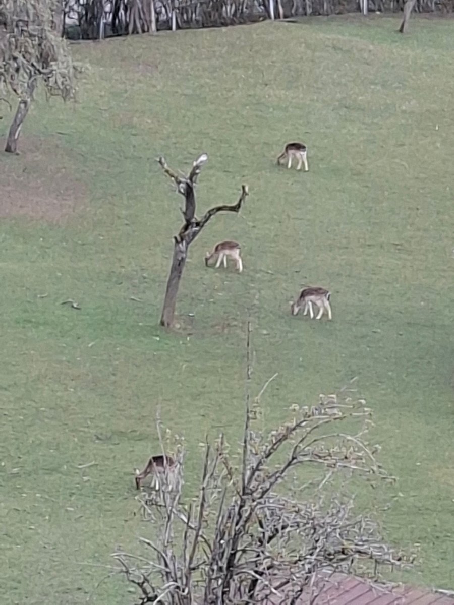 伯格库姆贝格酒店-官方