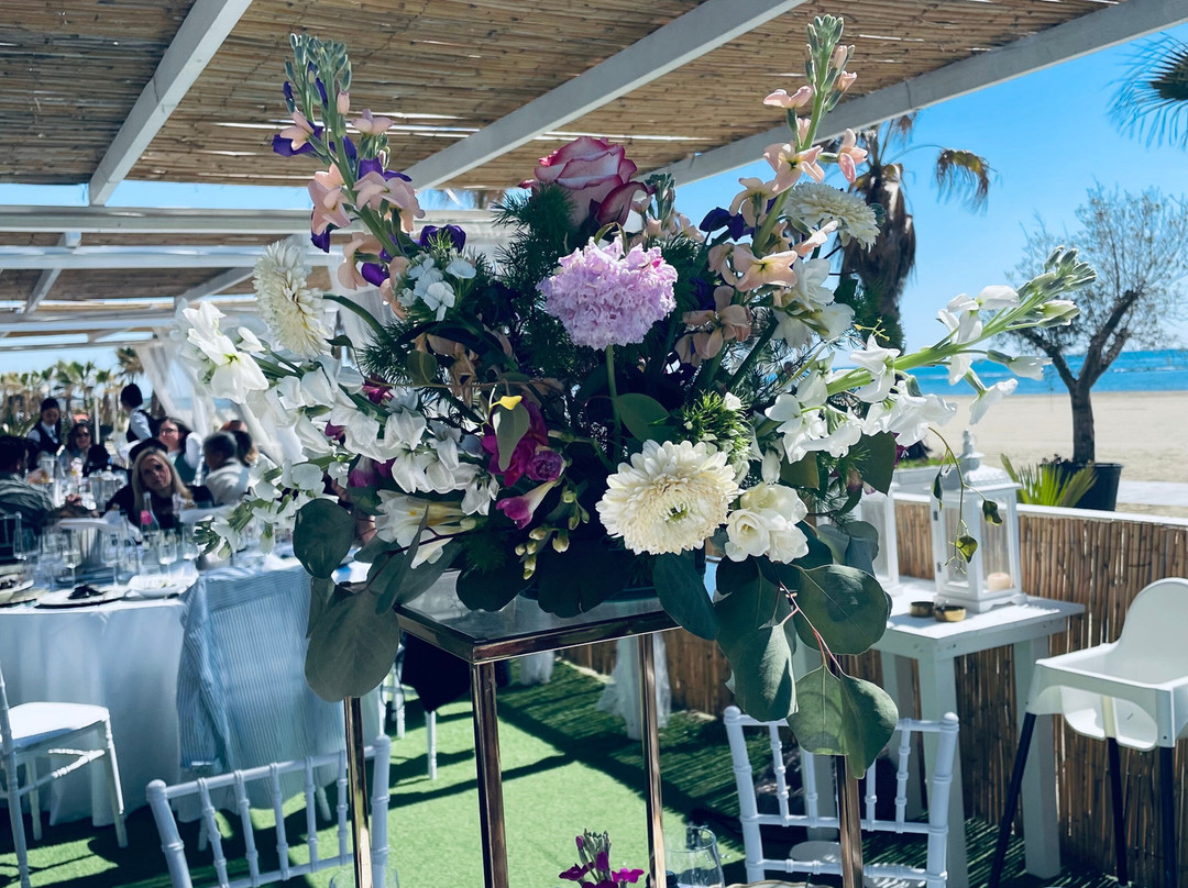 Bellavista Beach Club-Nettuno必去景点