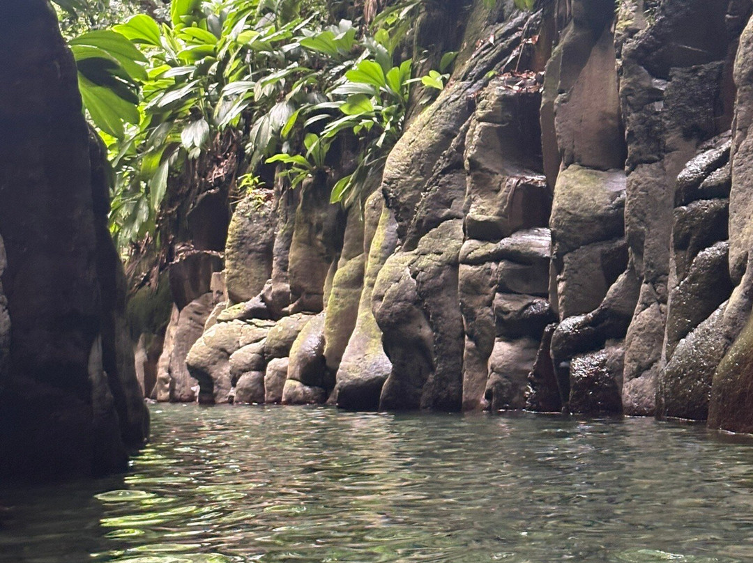 Canyon Moustique-Petit-Bourg必去景点
