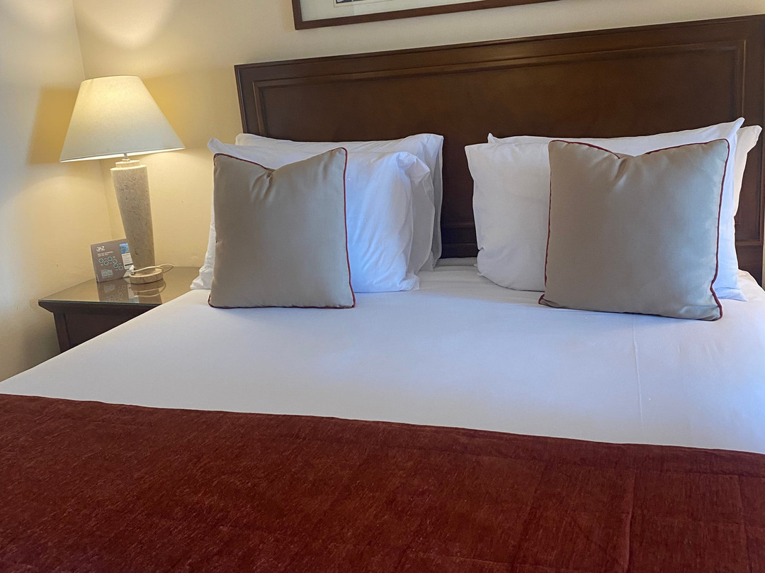 JAZ东方，阿尔玛扎湾主图