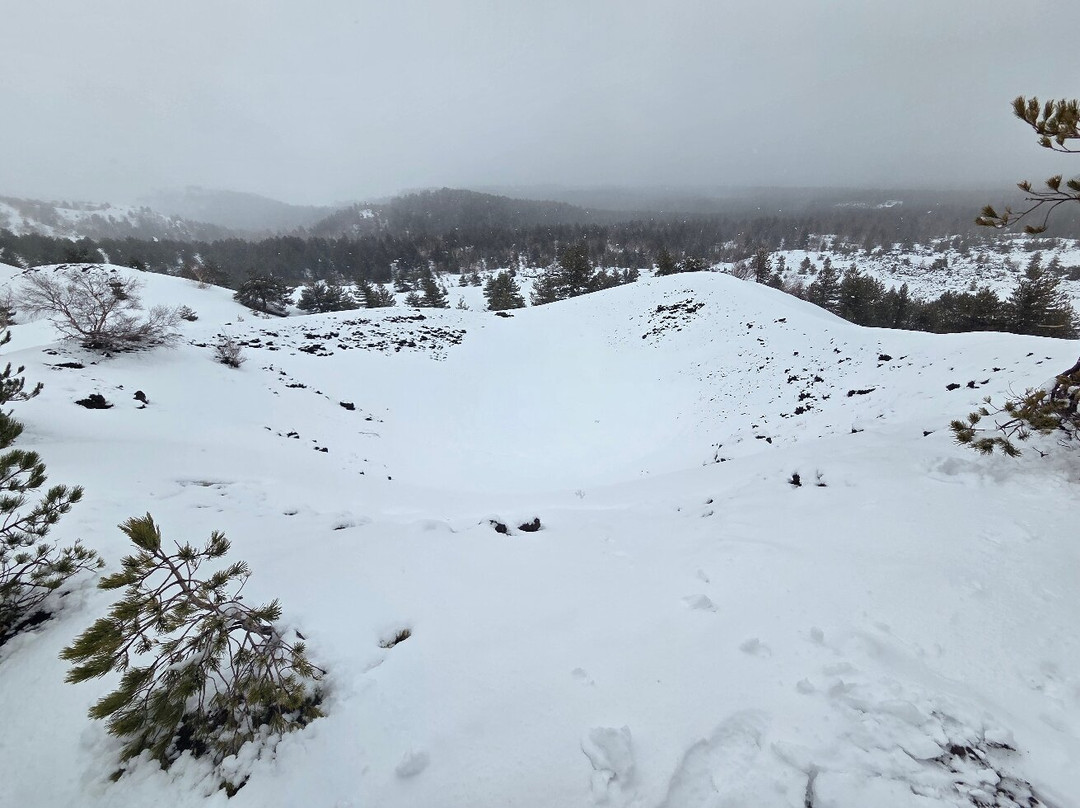 Etna Experience Excursions-卡塔尼亚必去景点