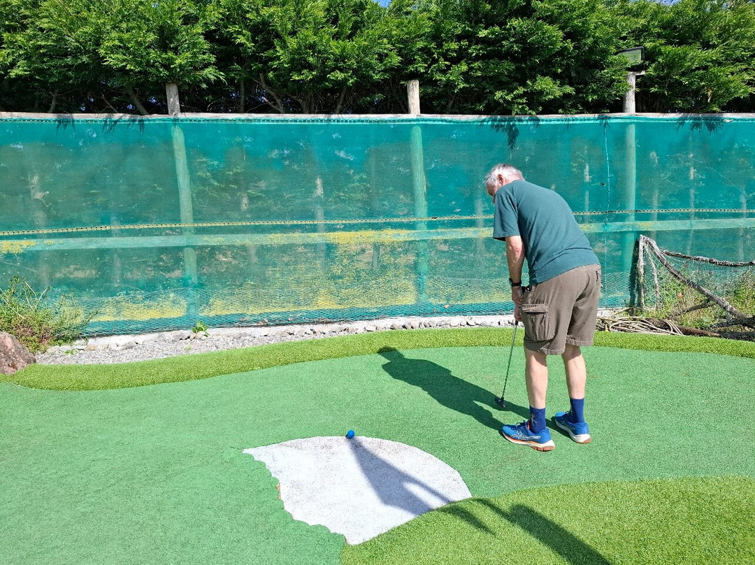 Forest Of Dean Adventure Golf-Newnham必去景点
