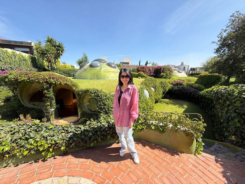 The Traveling Beetle-墨西哥城必去景点