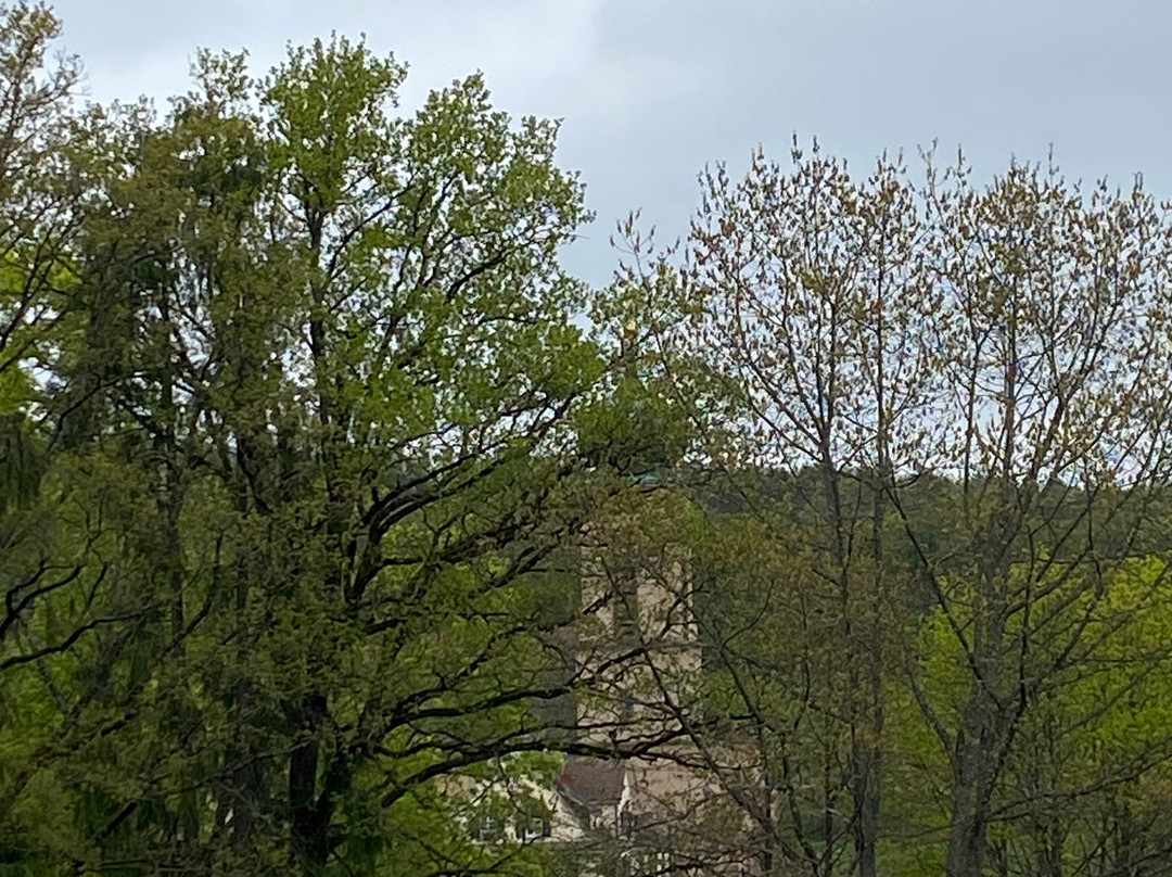 Hôtel & Spa les Violettes主图