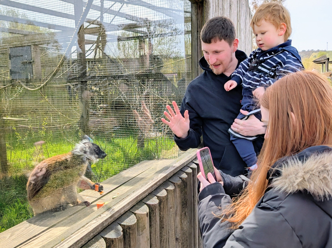 Peak Wildlife Park-Winkhill必去景点